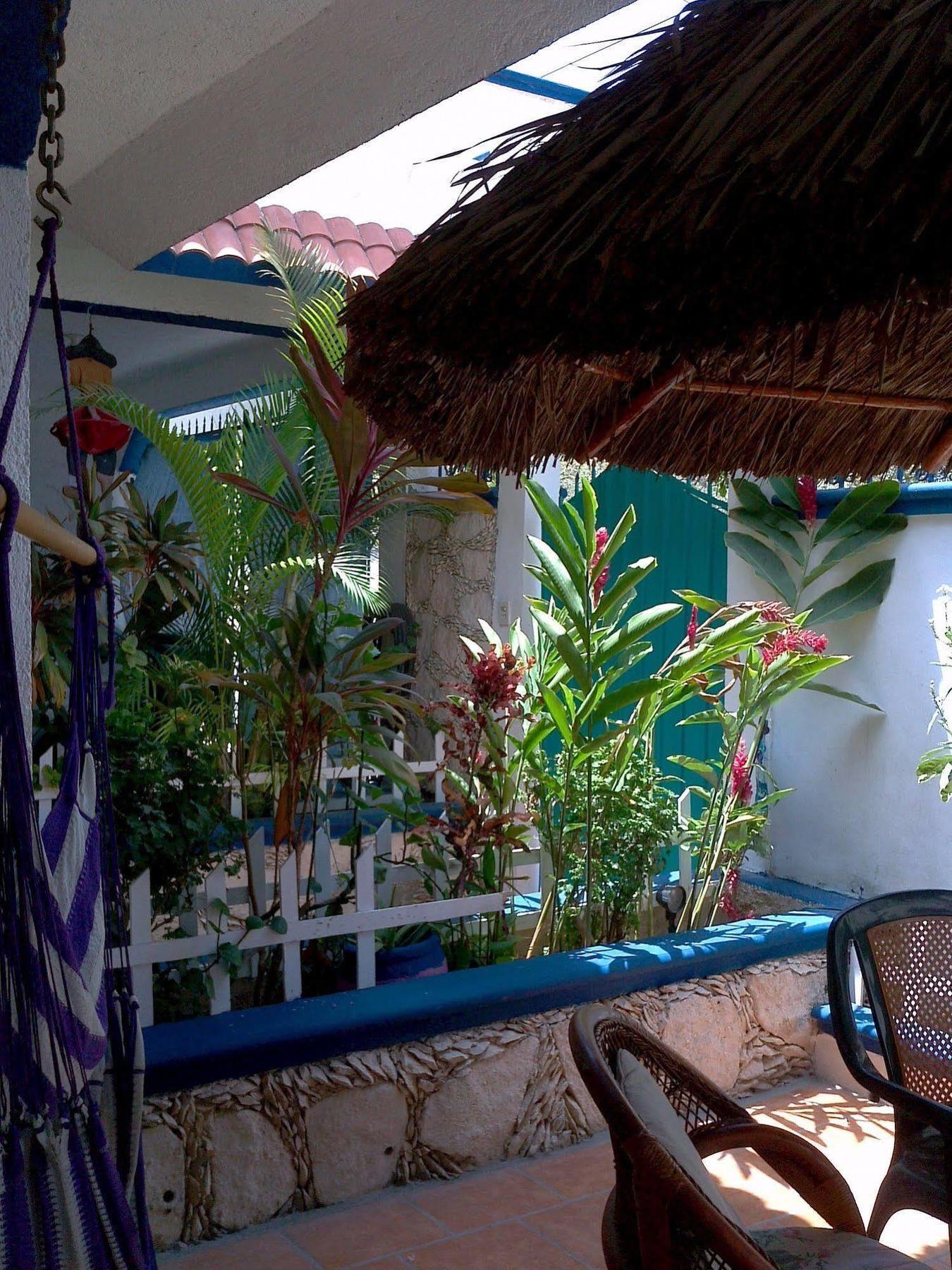 Alicia'S Bed & Breakfast Cozumel Esterno foto