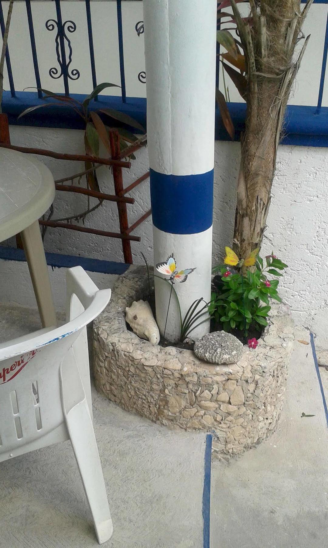 Alicia'S Bed & Breakfast Cozumel Esterno foto