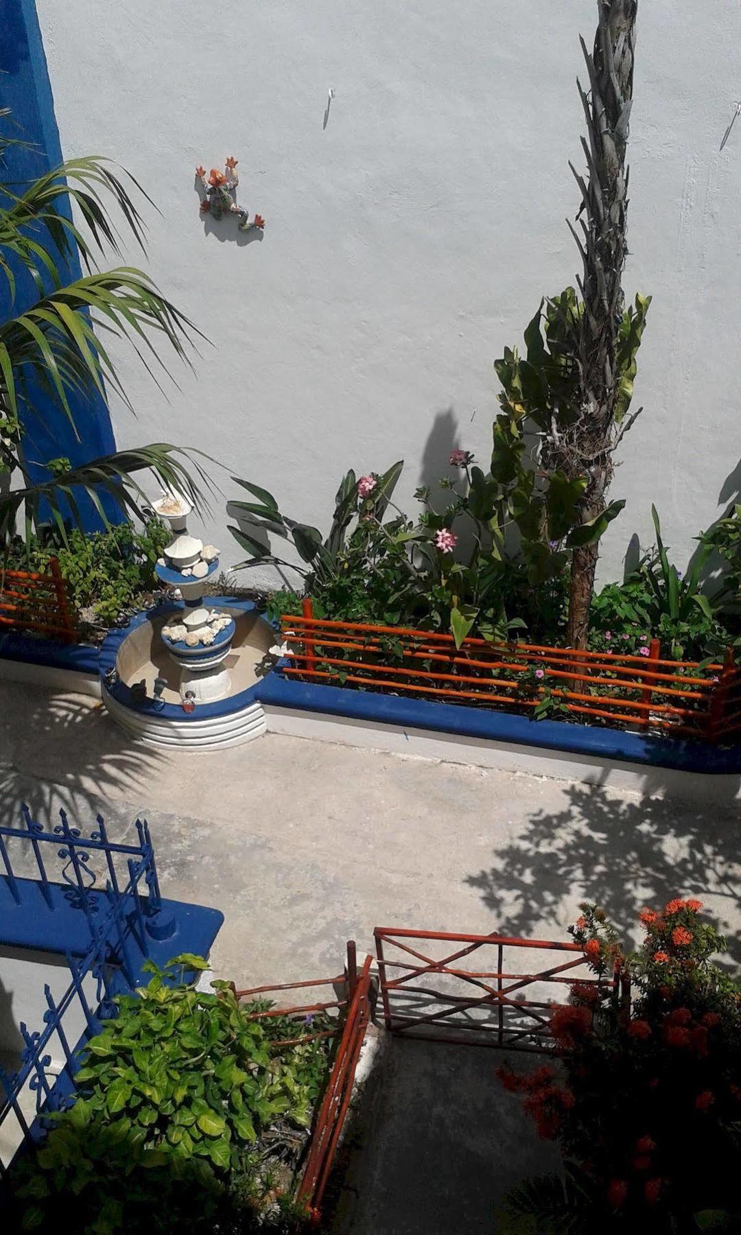Alicia'S Bed & Breakfast Cozumel Esterno foto
