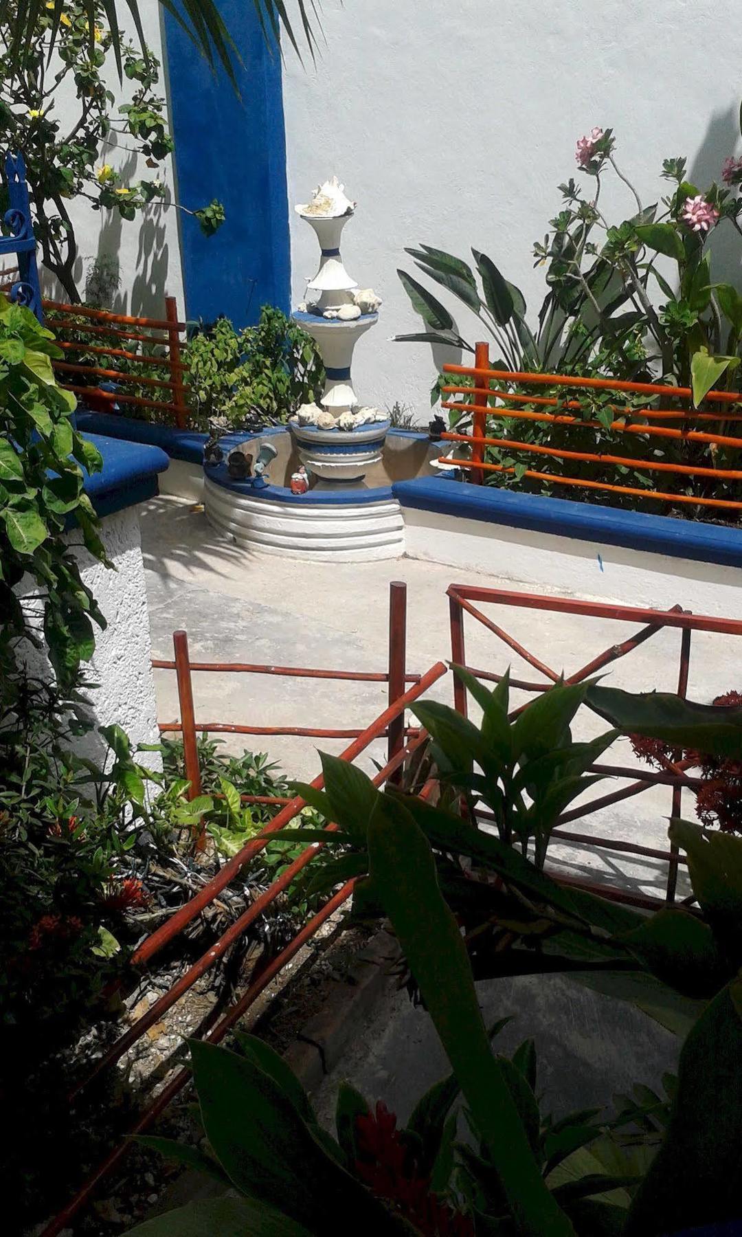 Alicia'S Bed & Breakfast Cozumel Esterno foto